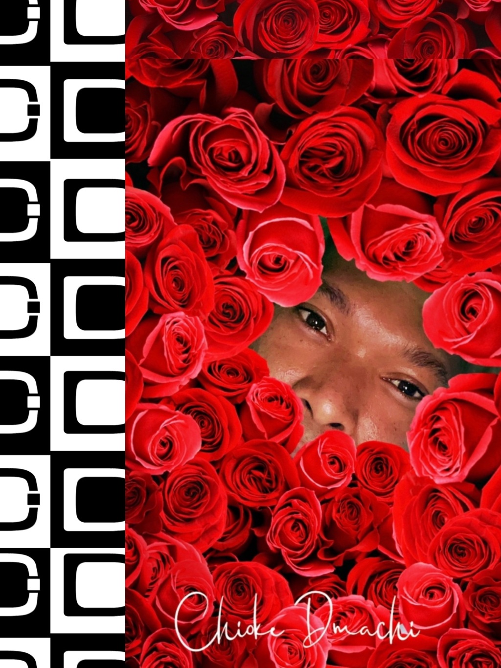 In a Bed Of Roses